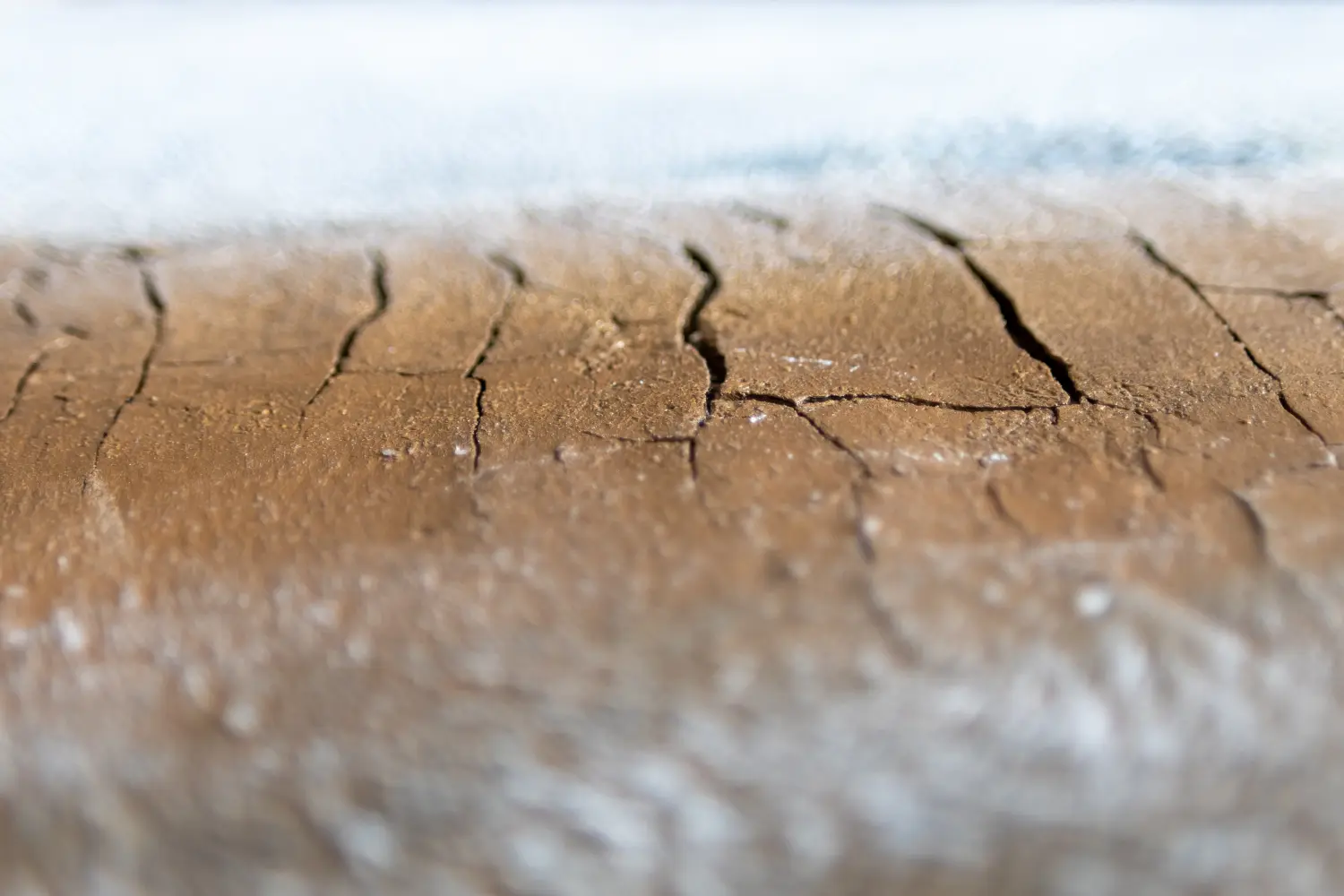 Jungs Art - Kunst von Carina Jung