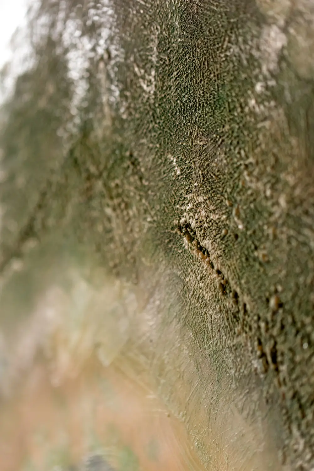 Jungs Art - Kunst von Carina Jung