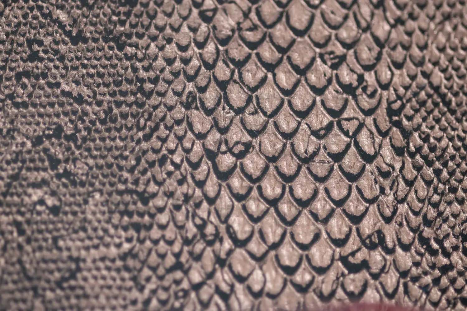 Jungs Art - Kunst von Carina Jung