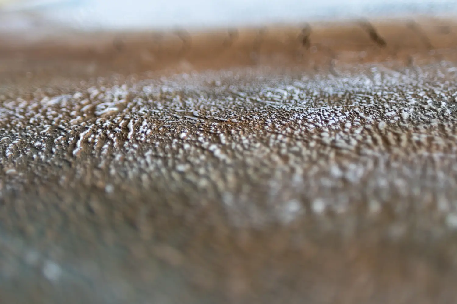 Jungs Art - Kunst von Carina Jung